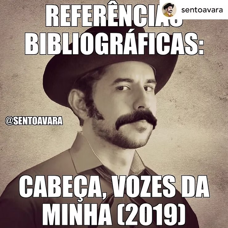 Meme 'Referências bibliográficas: cabeça, vozes da minha (2019)'