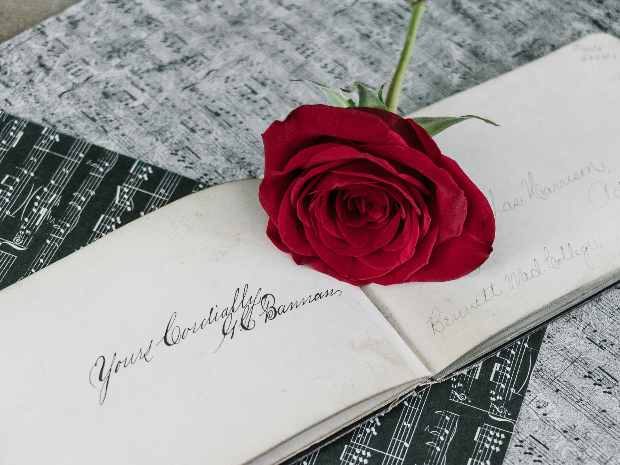 Leia mais sobre o artigo Cinco dicas quentes para escrever romances