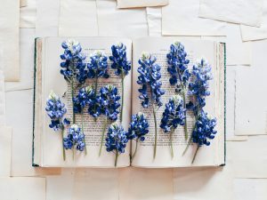 Leia mais sobre o artigo Não é apenas um livro.
